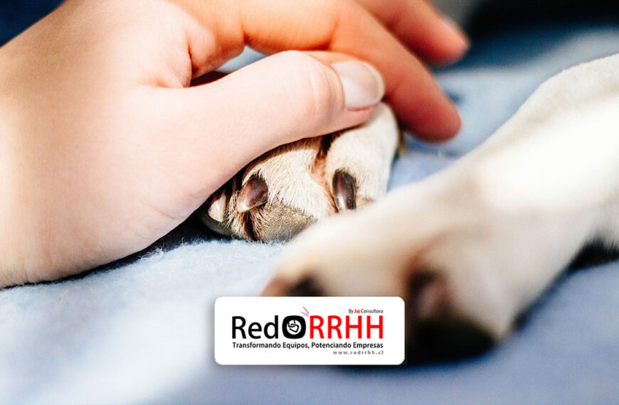 La propuesta, que ahora continúa su tramitación en el Senado, representa un avance pionero en Latinoamérica y abre un debate relevante para la gestión de personas, políticas de bienestar laboral y corresponsabilidad emocional dentro de las empresas.